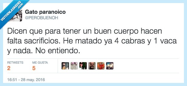 vaca,cabra,sacrificio,matar,gimnasio,cuerpo,perobuenoh