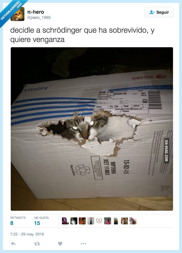 gato,Schrodinger,venganza,caja,dentro,vivo