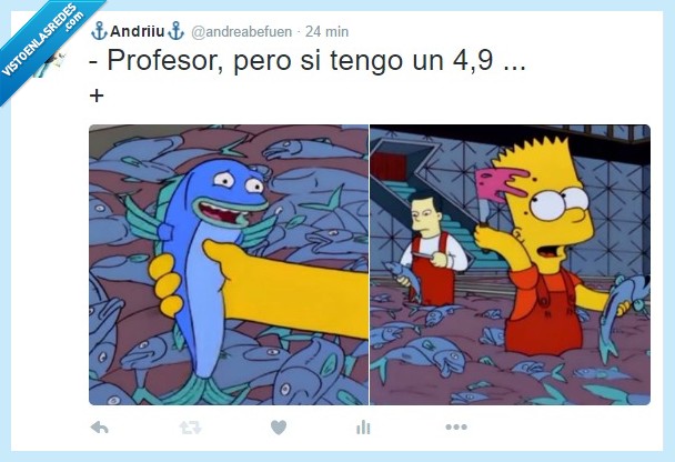 simpsons,examenes,universidad,finales,aprobar,suspender,chiste