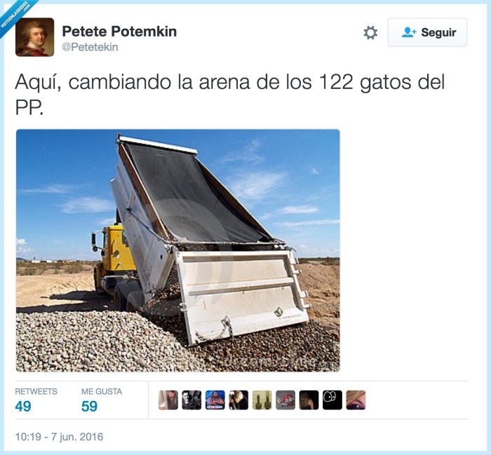 arena,pp,gatos