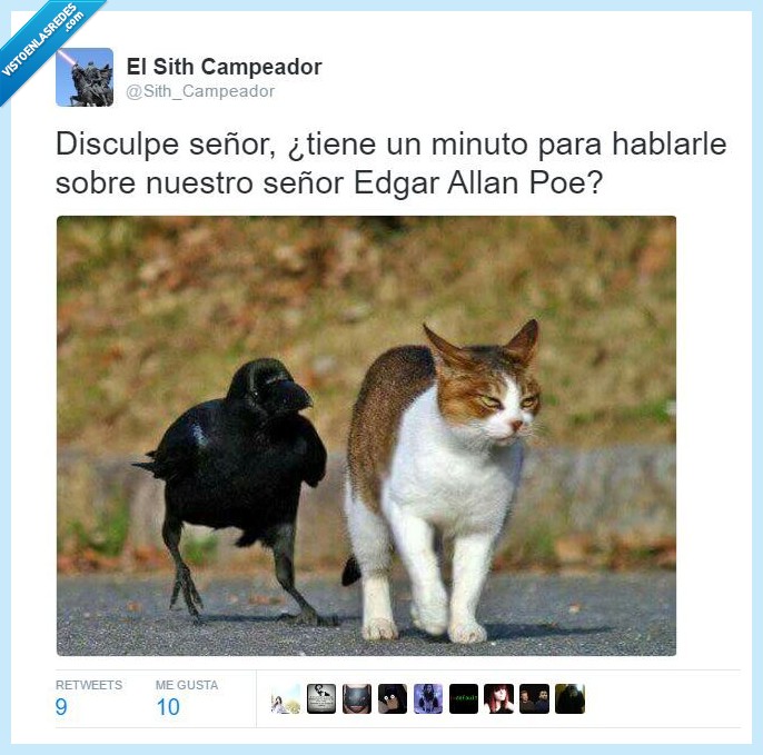 cuervo,gato,edgar alla poe,hablar,religion,calle,pregunta