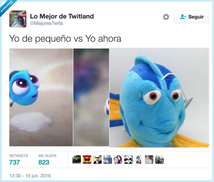 dory,pez,feo,joven,pequeño