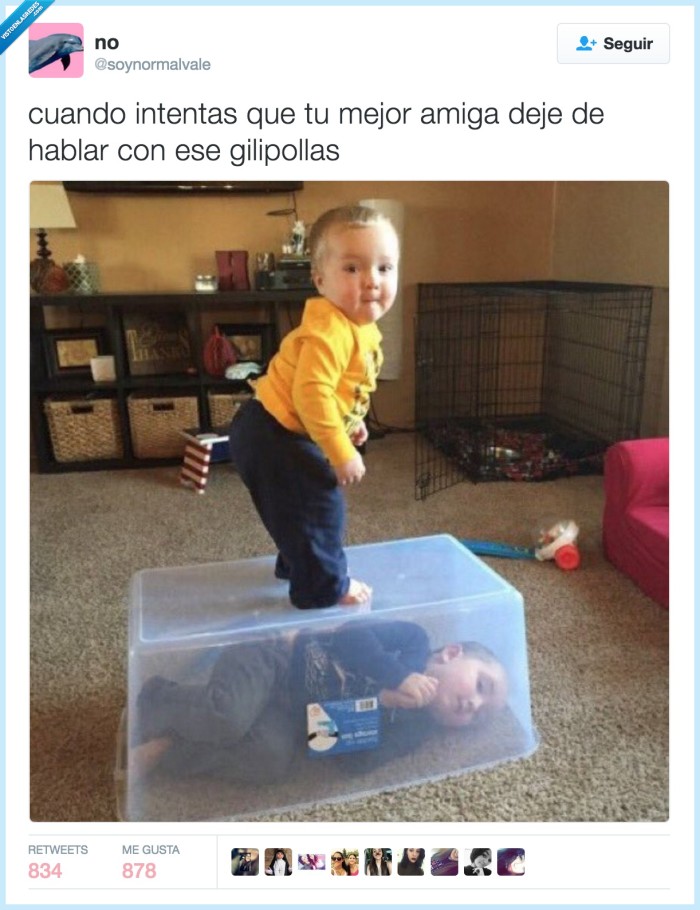 amigos,evitar,caja,tapar