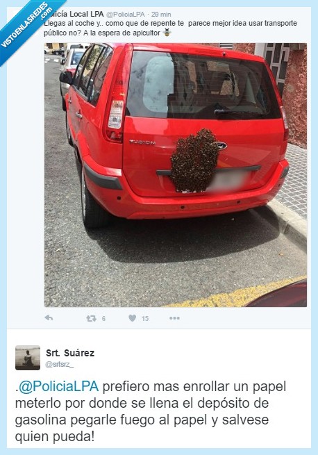 policía,las palmas,colmena,abeja,apicultor,transporte público,quemar coche