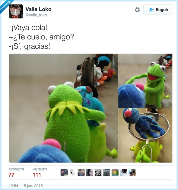 gustavo,coco,colador,colar