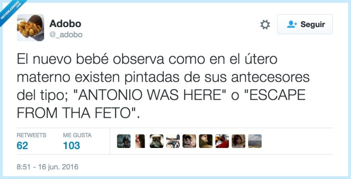 bebé,antecesores,útero materno