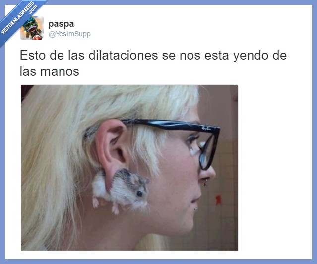 piercing,rata,oreja,dilataciones