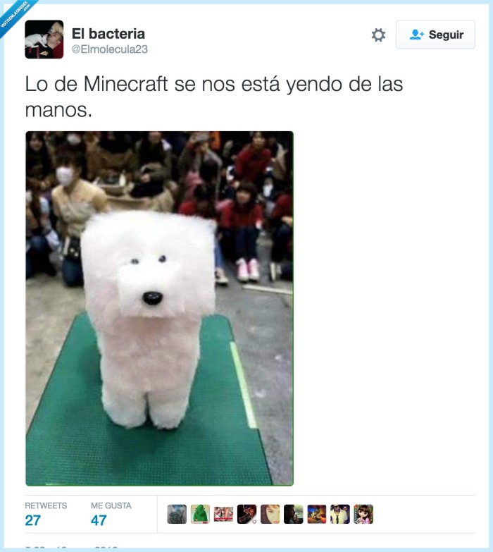perro,cuadrado,caniche,formas,minecraft