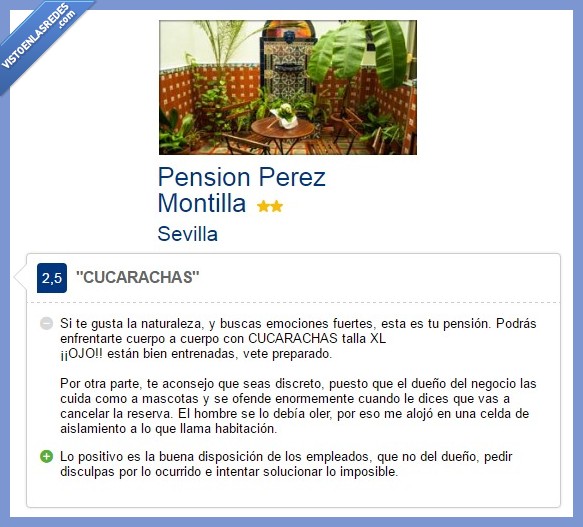 cucarachas,emociones fuertes,Sevilla,pensión,Pérez Montilla