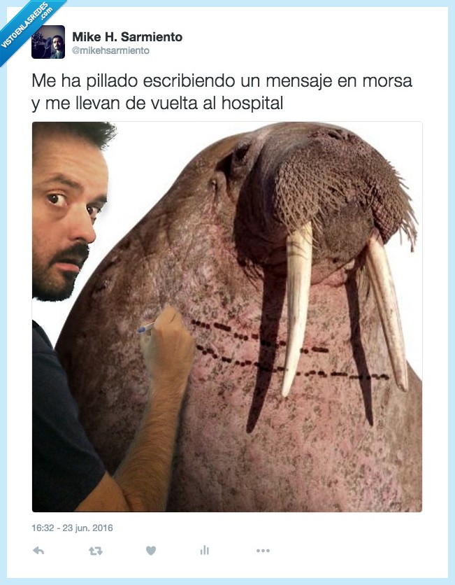 mensaje,morsa,morse,absurdo