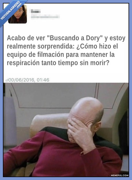 Buscando a Dory,Disney,película,filmación,cámara,bajo del mar,ironía,humor