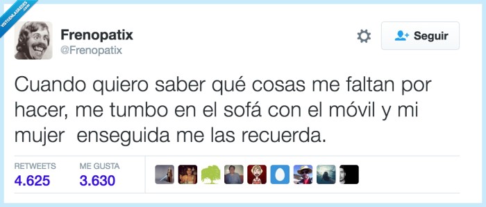 tareas,hacer,casa,sofá