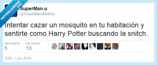 harry potter,snitch,mosquito,verano