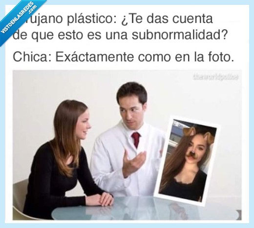 cirugía,snapchat,cara,perro