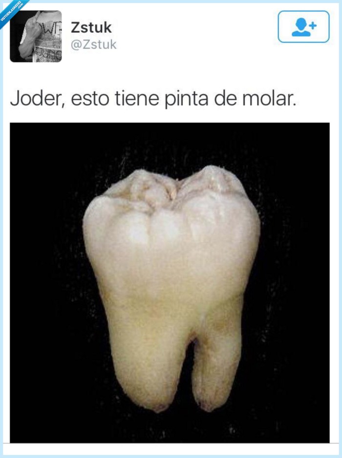 447286 - Molar, por @zstuck