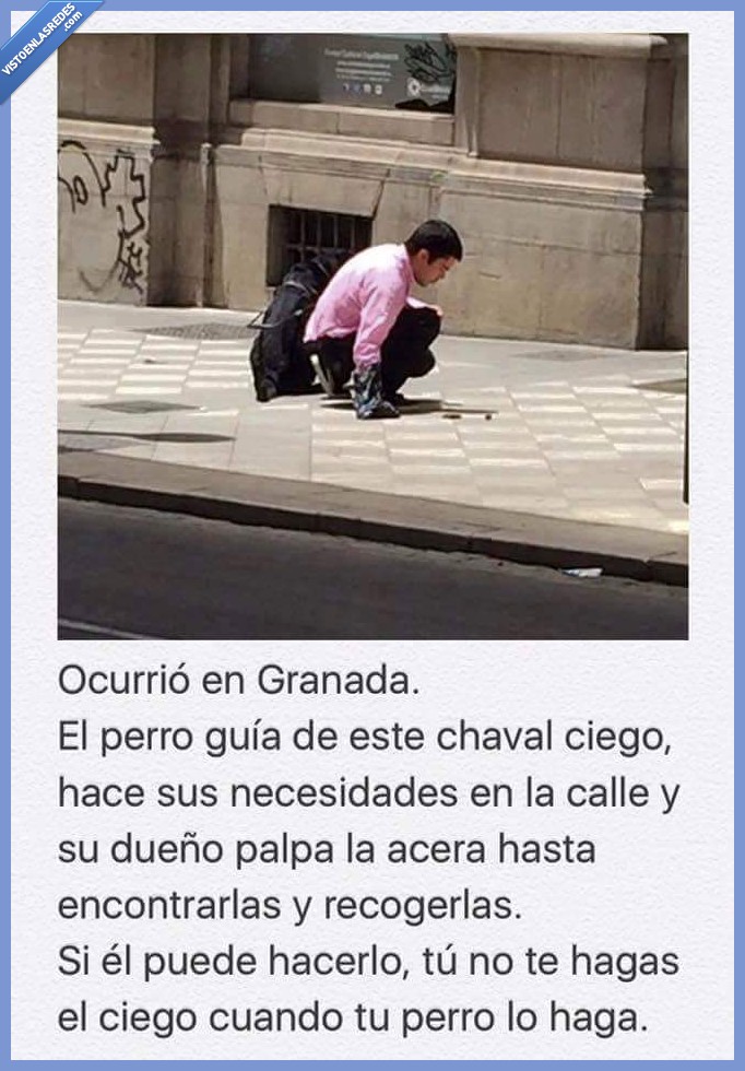 perro guía,ciego,necesidades,recoger,cacas,educación,civismo