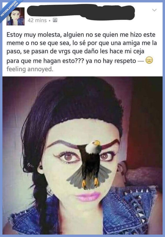 cejas,delineado,se pasan,águila