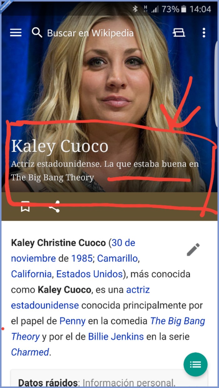 wikipedia,kaley cuoco