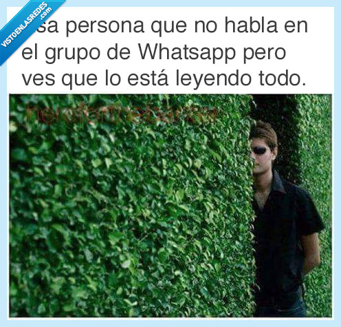 whatsapp,grupo,callado
