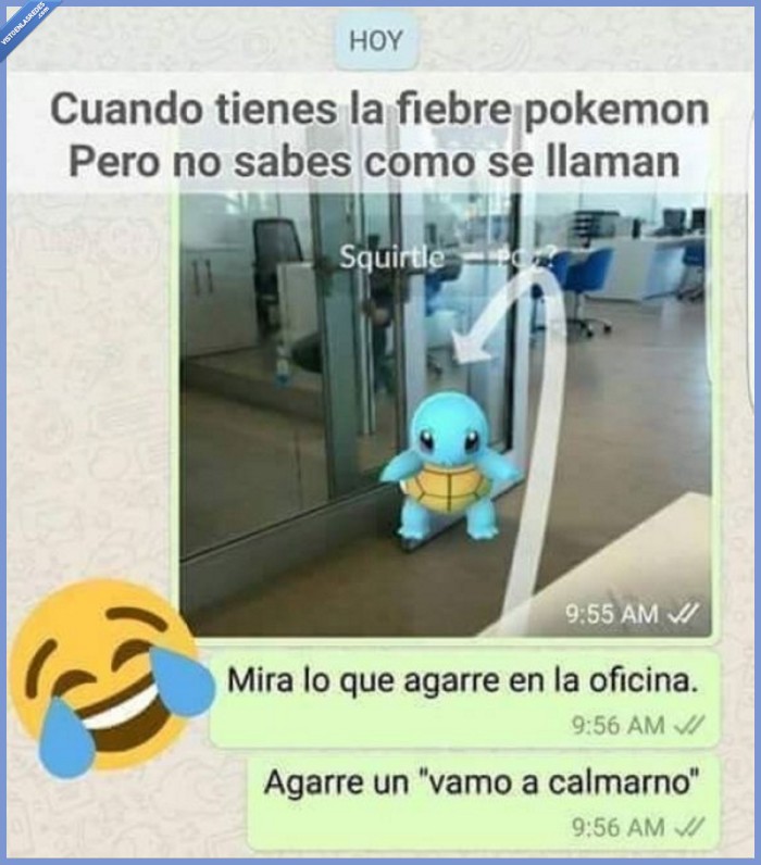 squirtle,pokémon go,vamo a calmarno