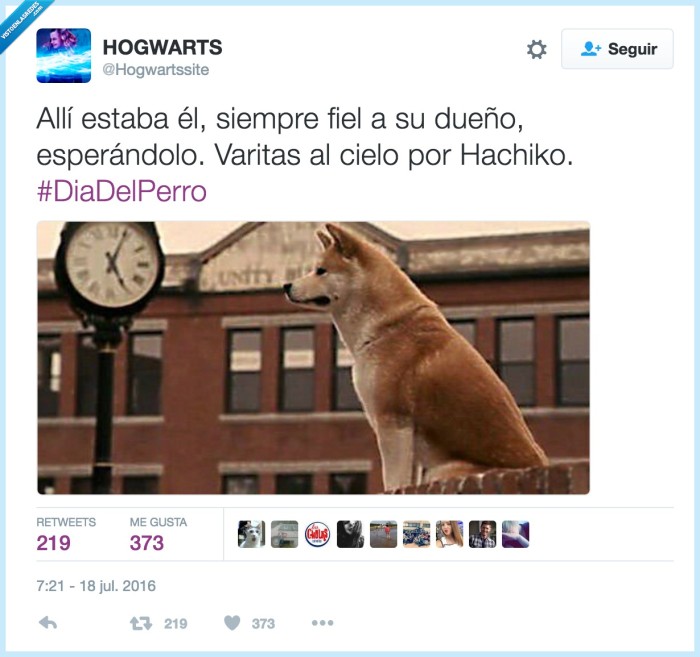 perro,hachiko,día del perro