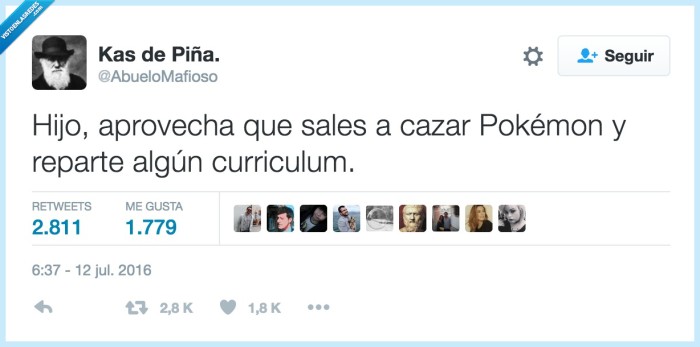 cv,currículum pokémon go