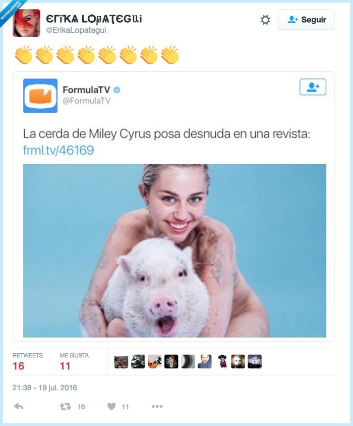 cerda,miley cyrus,clickbait