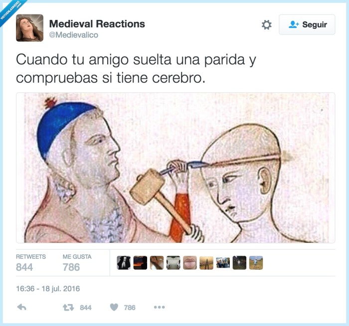 parida,cerebro,amigo
