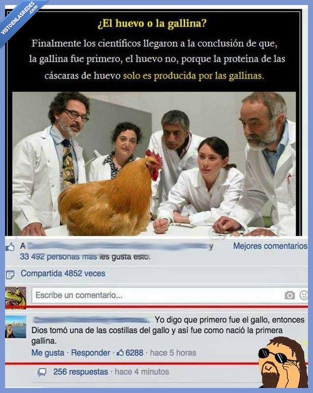 huevo,gallina,jesus,yisus,ateos,costilla,gallo