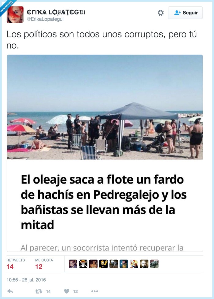 hach&iacute;s,droga,descubrimiento,robar