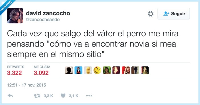 mear,wc,territorio,marcar,perro