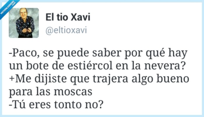 moscas,estiercol,paco