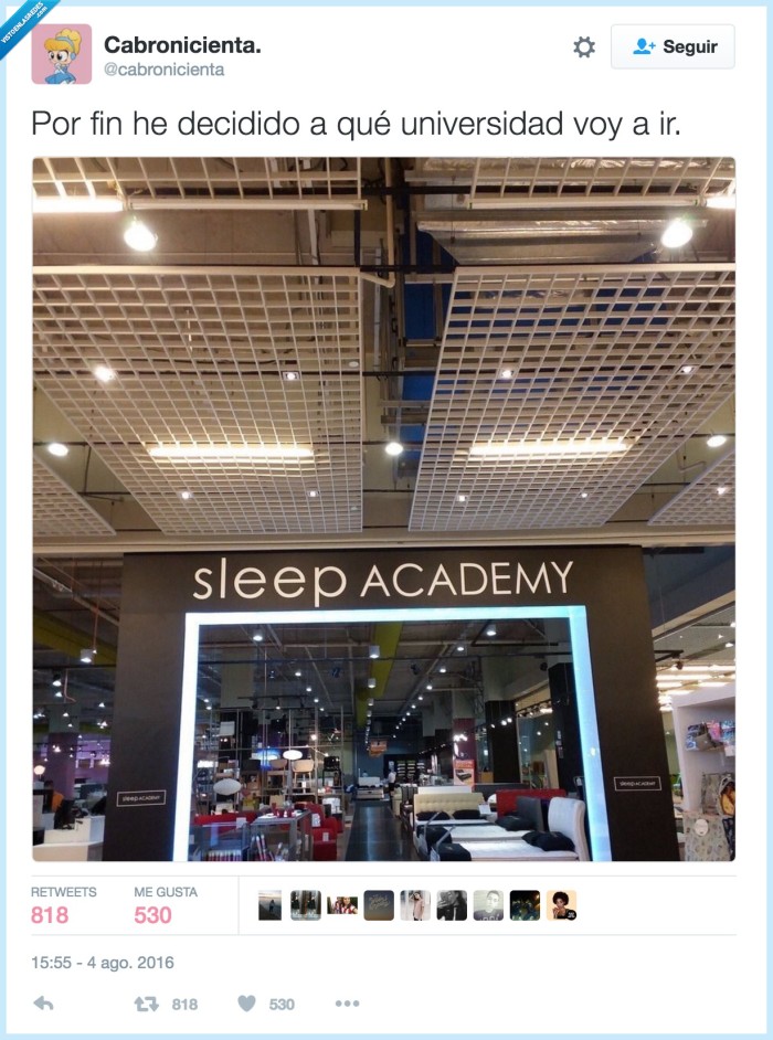 sleep academy,universidad,dormir