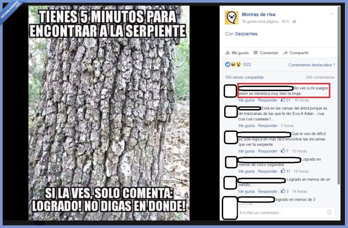 serpiente,suegra,tronco