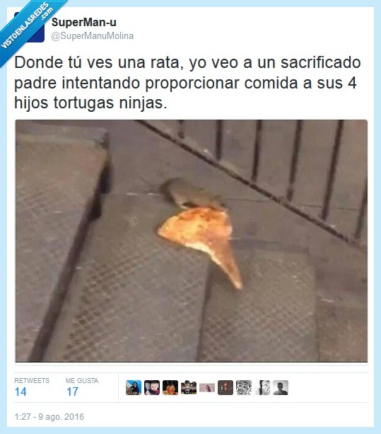 rata,tortuga ninja,maestro astilla,pizza