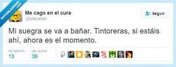 Enlace a Tiburones, no seáis tímidos, sé que tenéis hambre por @tuiticando