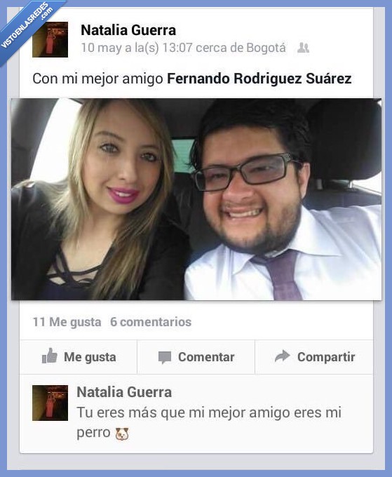 perro,friendzone,ko