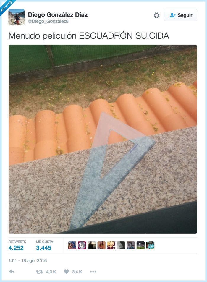 escuadron suicida,escuadra,cartab&oacute;n