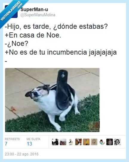 noe,incumbencia,mamá,zapatilla
