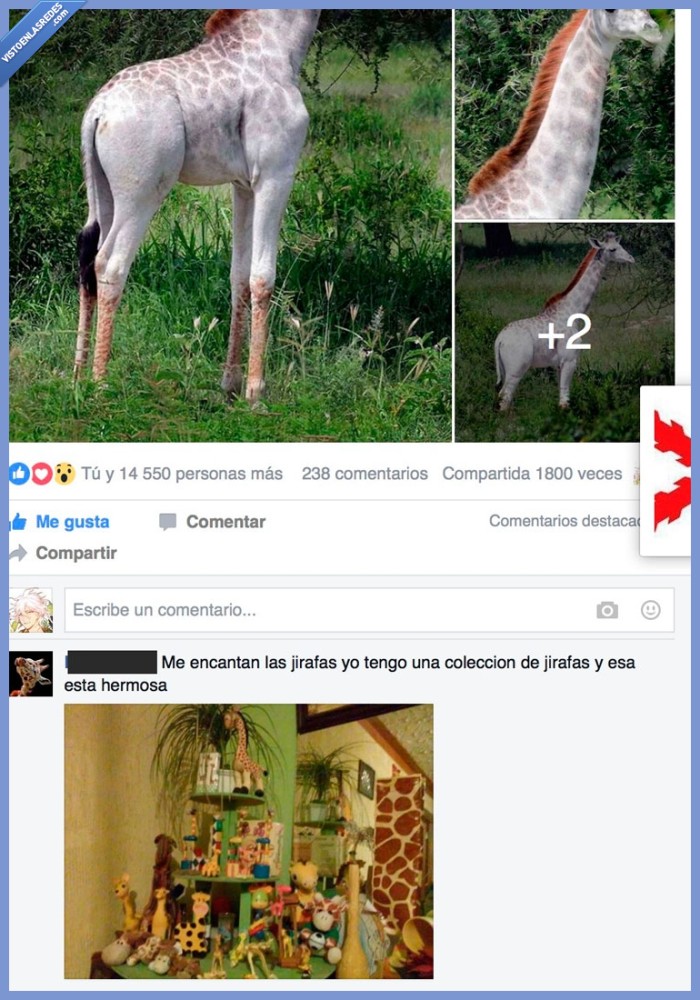 jirafa,figura,colecci&oacute;n