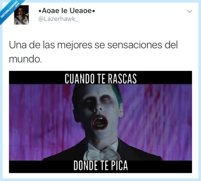 joker,jared leto,suicide squat,placer,rascar,picar