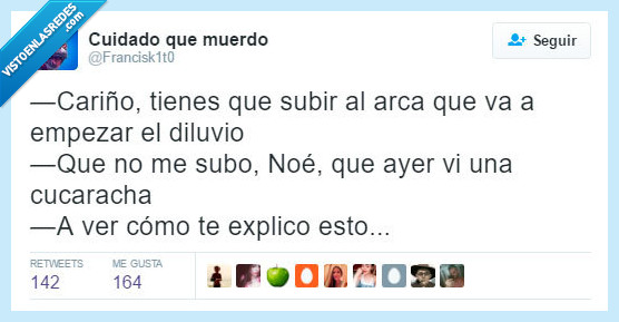 bicho,cucharacha,arca,noe,cariño,explicar