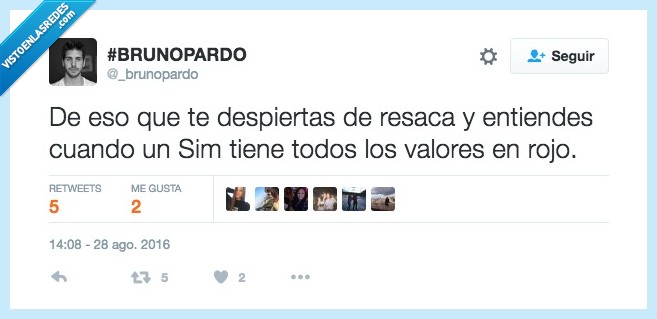 resaca,sims,borrachera,valor,rojo