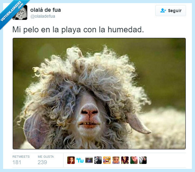 pelo,playa,oveja,lana,humedad,rizado,encrespado