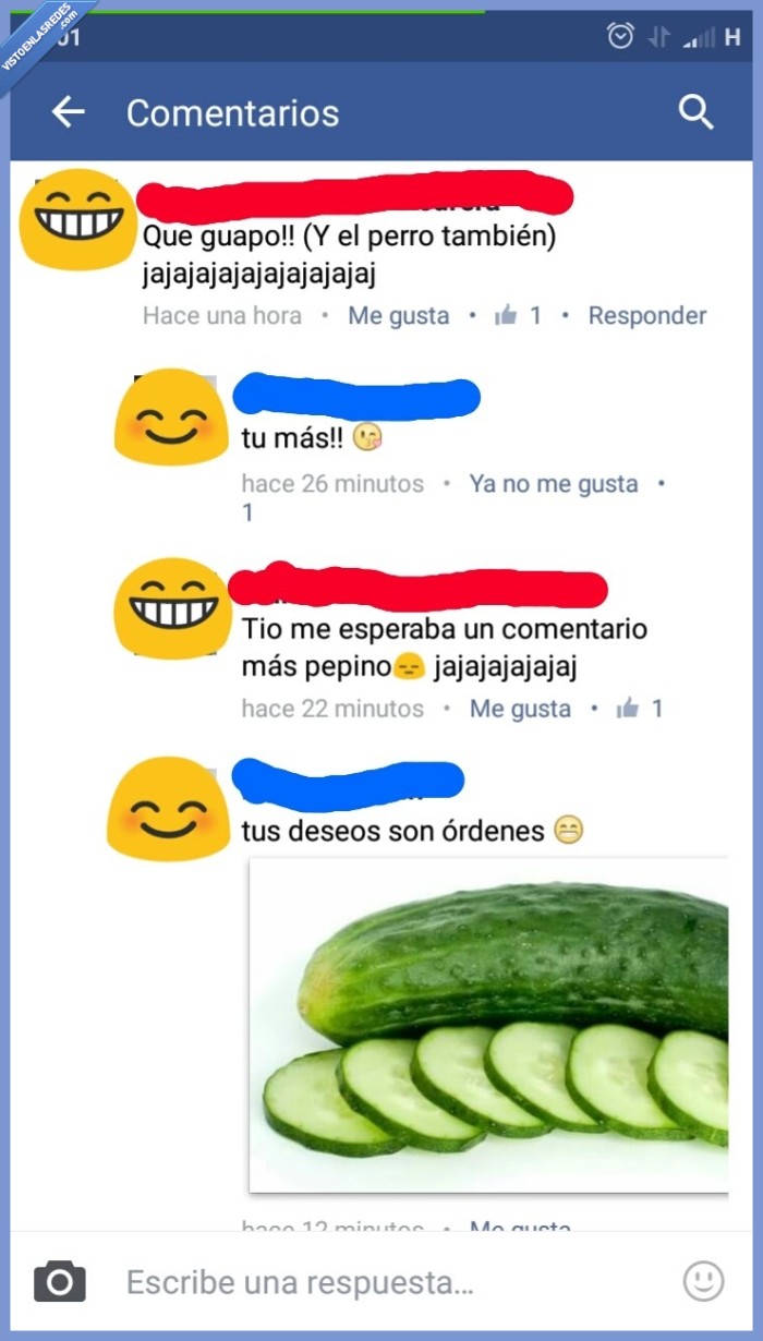 pepino,nuevoconcepto,comentario,foto
