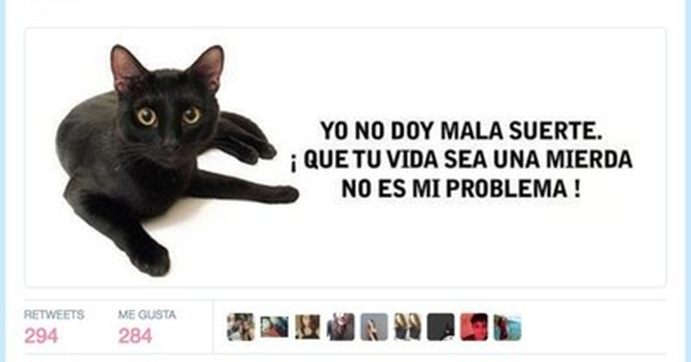 No Le Eches La Culpa Al Gato Por Soyeldelfin No le eches la culpa · toby love. visto en las redes
