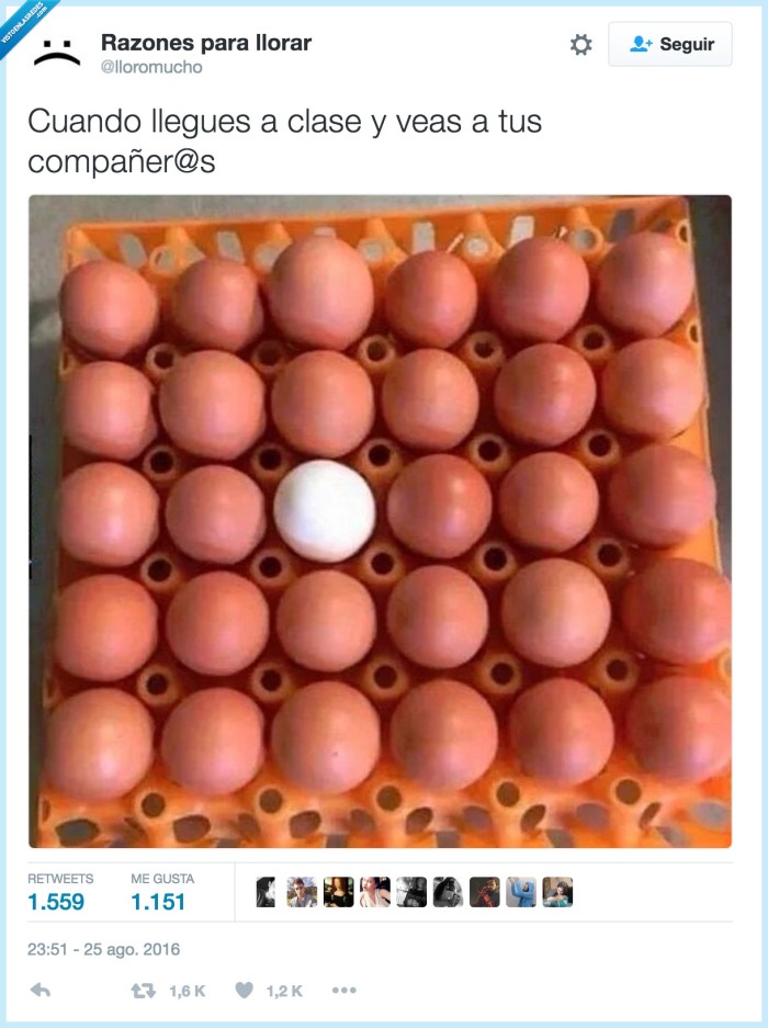 huevos,blanco,moreno