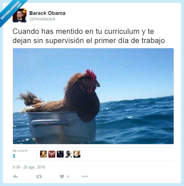trabajo,mentir,curriculum,gallina,océano