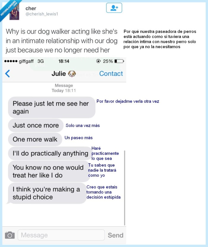 perro,paseador,petty