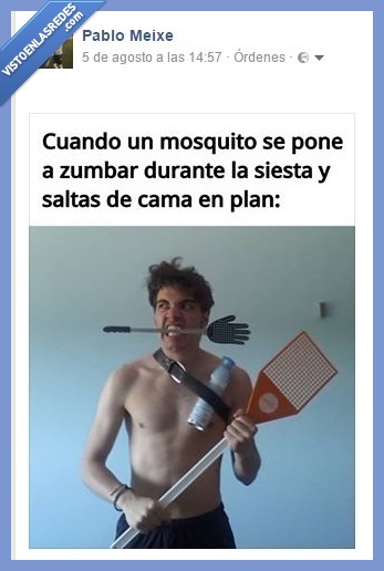 mosquito,siesta,matamoscas,loco,zumbar